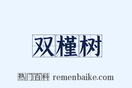 双槿树是什么意思的图片